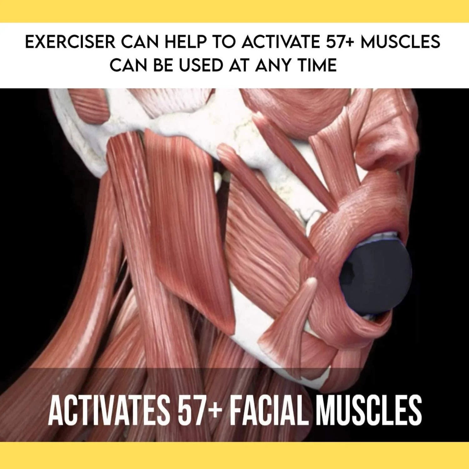 6268B Jaw Exerciser and Toner - Jawline and Neck Exerciser for Reducing Double Chin 6268B Jaw Exerciser and Toner - Jawline and Neck Exerciser for Reducing Double Chin